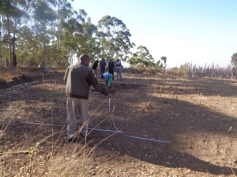 Surveyors working on site acquisition field study
